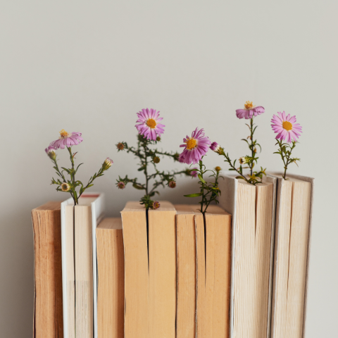 Rząd ustawionych pionowo książek, pomiędzy których grzbietami wyrastają delikatne, fioletowo-różowe kwiaty o żółtych środkach, tworząc naturalną, dekoracyjną kompozycję.